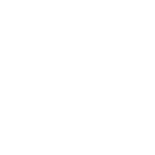 audit